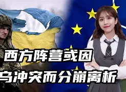 全场球迷高喊佩德里 全场球迷高喊佩德里