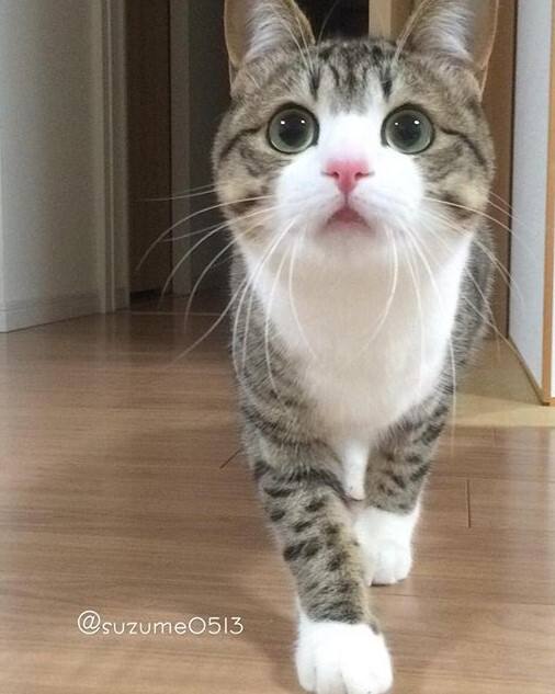LOL直播-?"Su;?I?)??q的简单介绍